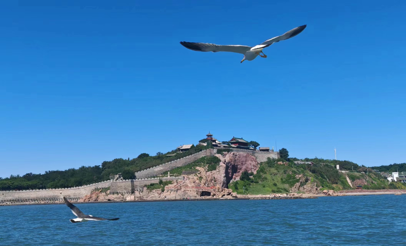 山武踏海之旅